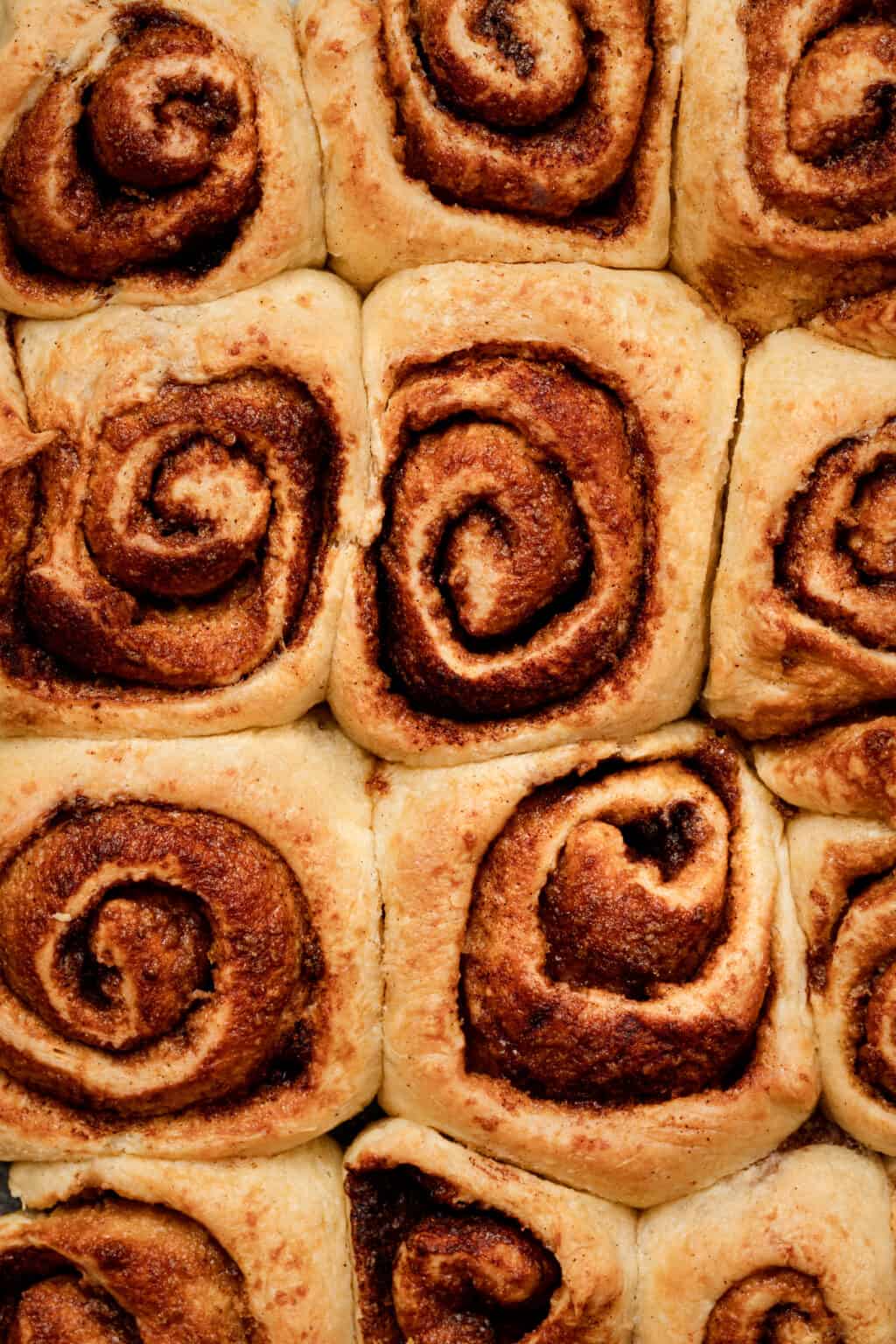 Real Deal Vegan Cinnamon Rolls Kalejunkie