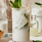 A tall glass of the coconut mojito mocktail. sitting on a countertop