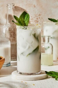 Coconut Mojito Mocktail