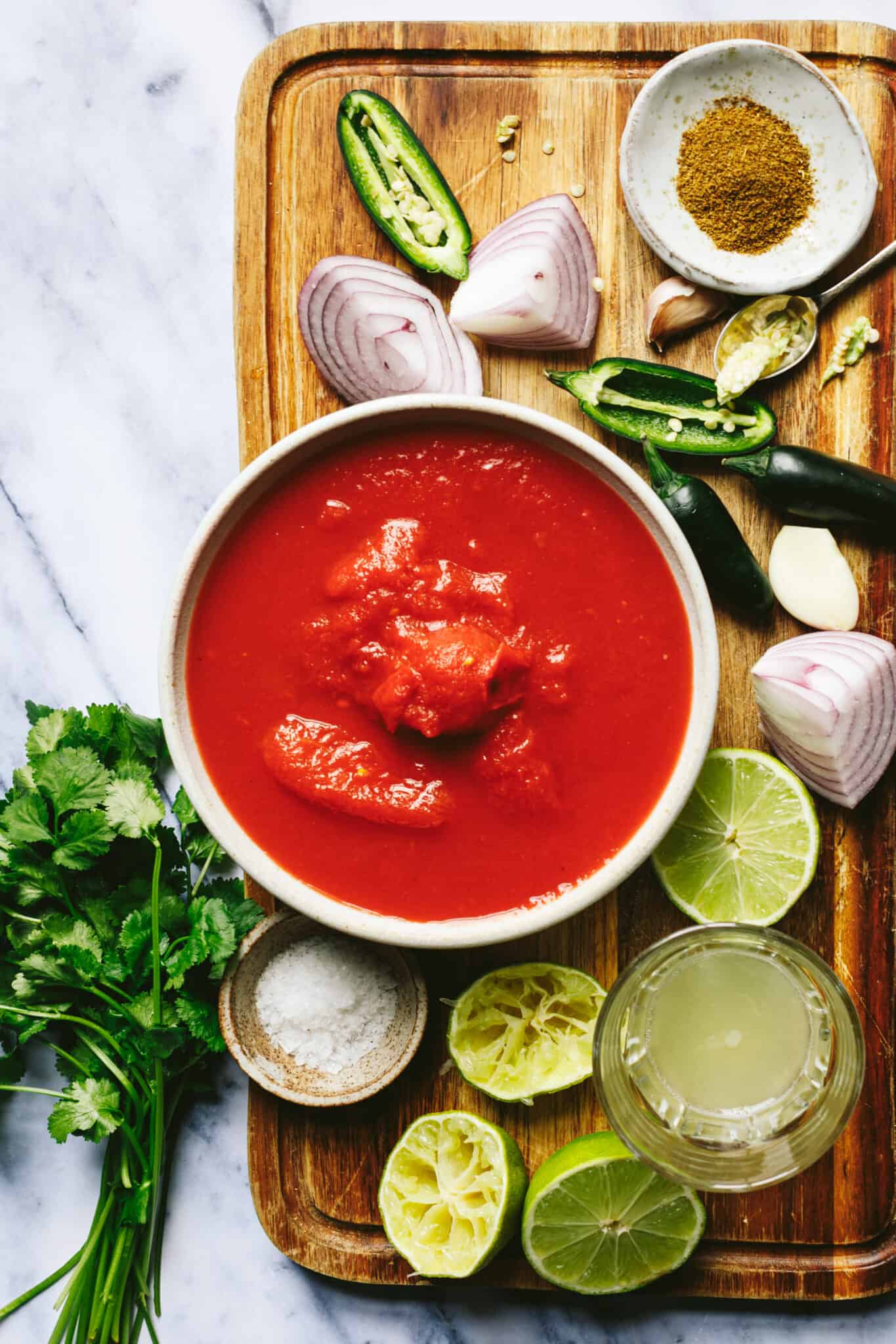 Quick & Easy Blender Salsa Kalejunkie