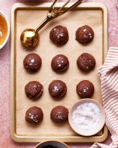 No-Bake Tagalong Cookie Bites