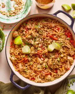 30 Minute Saucy Chicken Noodles (Pad Thai Inspired!)