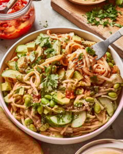 Udon Noodle Bowls with Special Sauce