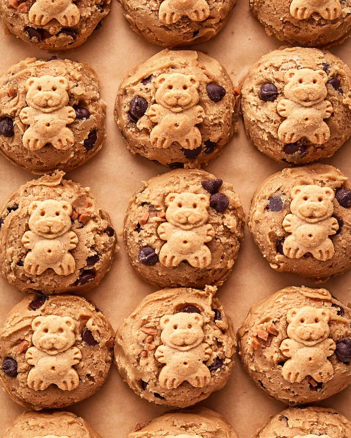 Rows of unbaked cookie dough balls with chocolate chips, each topped with a small bear-shaped cookie, arranged on a sheet of brown parchment paper.