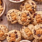 Chocolate chip cookies topped with small bear-shaped biscuits are arranged on a cooling rack. Bowls of chocolate chips and other ingredients surround the cookies.