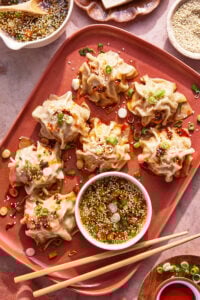 Viral No Fold Dumplings