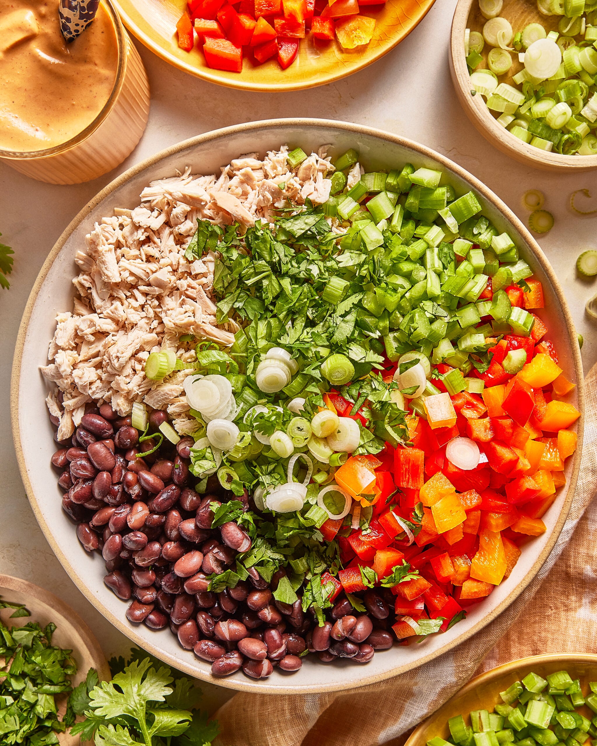 Large bowl with sections of shredded chicken, black beans, chopped celery, chopped red and orange bell peppers, green onions, and cilantro. Small bowls with sauce and extra vegetables surround it.