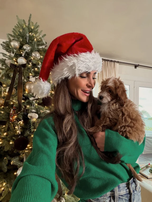 Everything I could ever want + more🎄🎁. Merry Christmas from my little family to yours! 🫶🏻